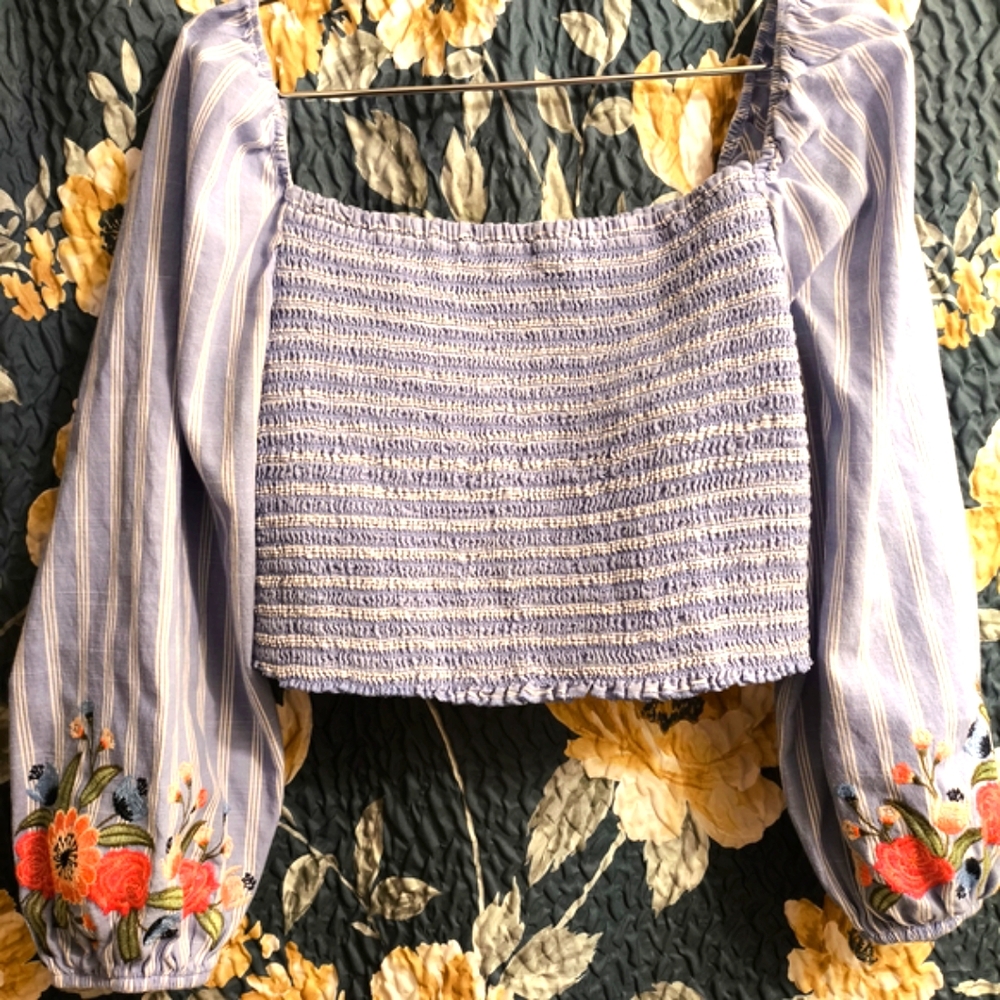 Xhilaration Blue and White Crop Blouse with Puff Sleeves and Flowers Embroidery